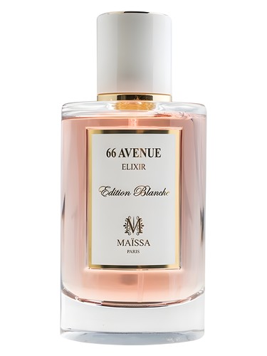Maissa 66 Avenue intense