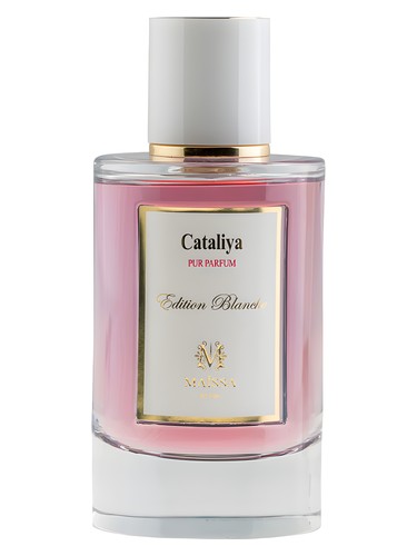 Maissa brume parfumée CATALYA