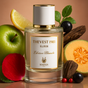 Maissa Thevest