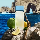 Dolce & Gabbanna  Light Blue 100ml eau de toilette (testeur)