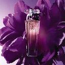 Lancôme Trésor Midnight Rose 