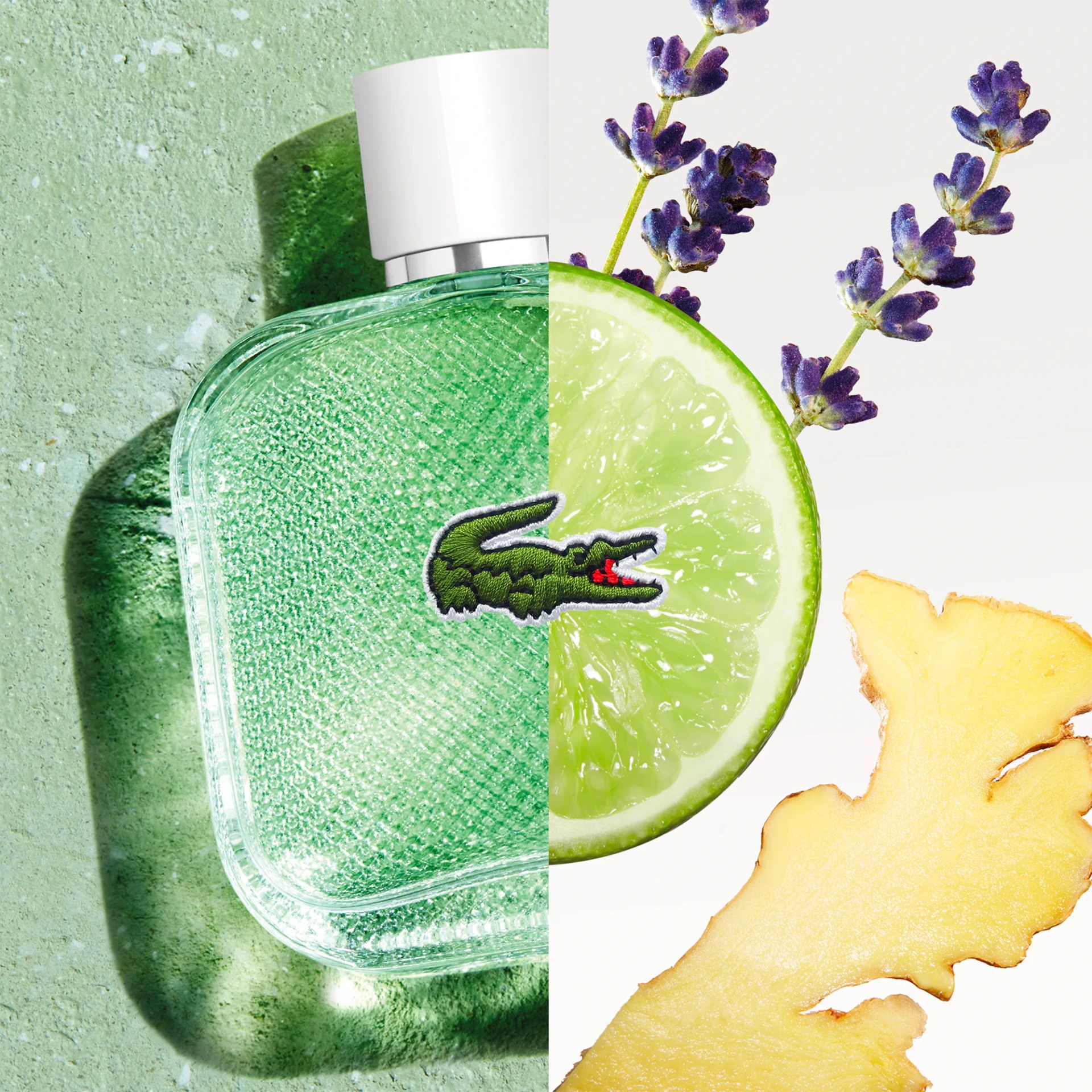 Lacoste L.12.12 Blanc Eau Fraîche 