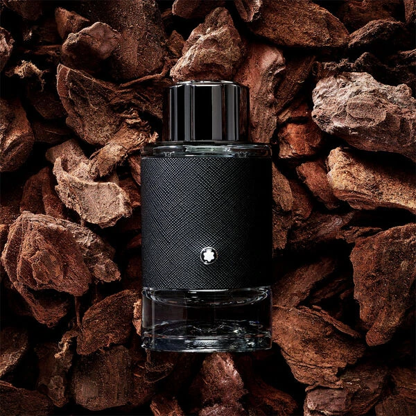 Mont Blanc Explorer 100ml edp (testeur)